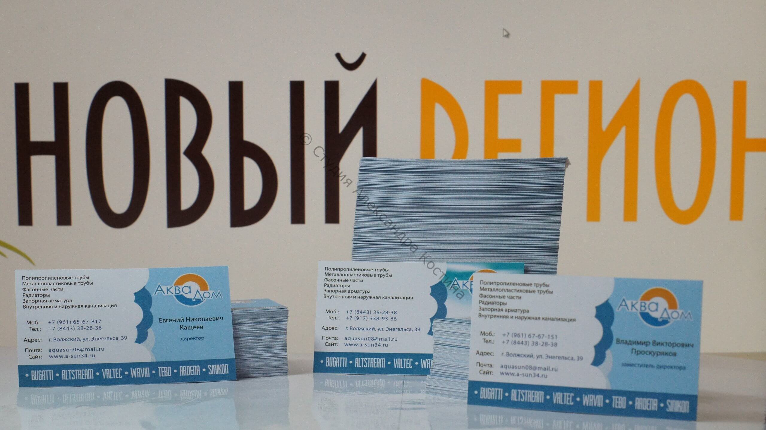 Визитки для магазина сантехники — работа из портфолио студии Александра Костина